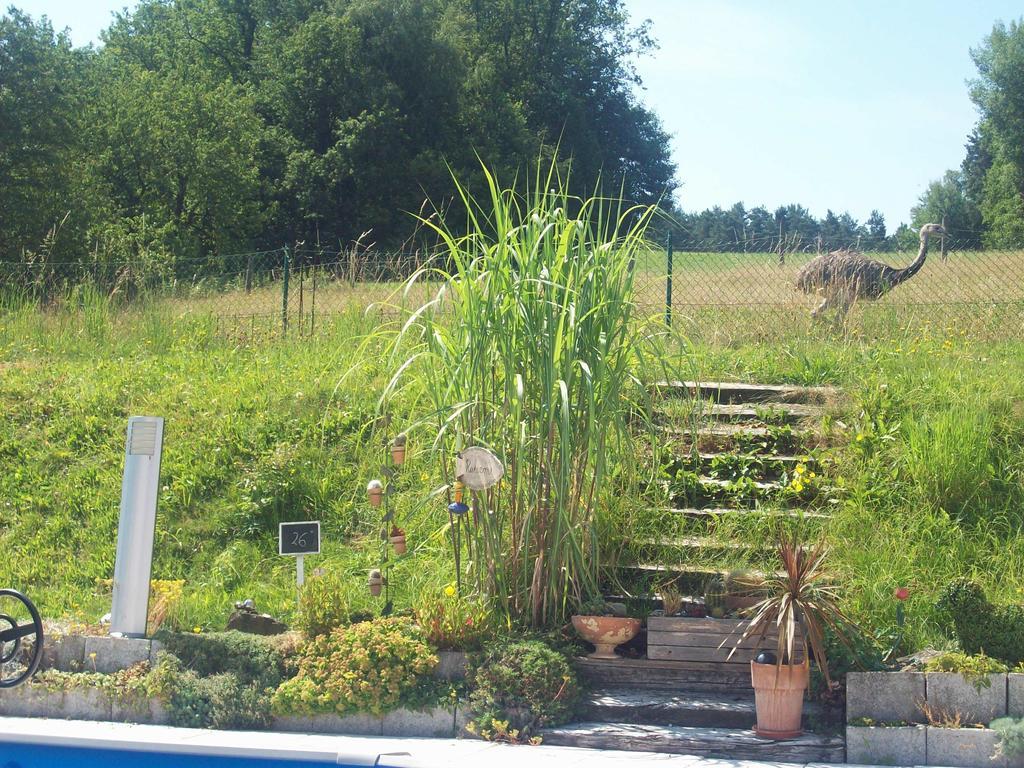 Gaestehaus Fidelis Grafenwiesen Zewnętrze zdjęcie